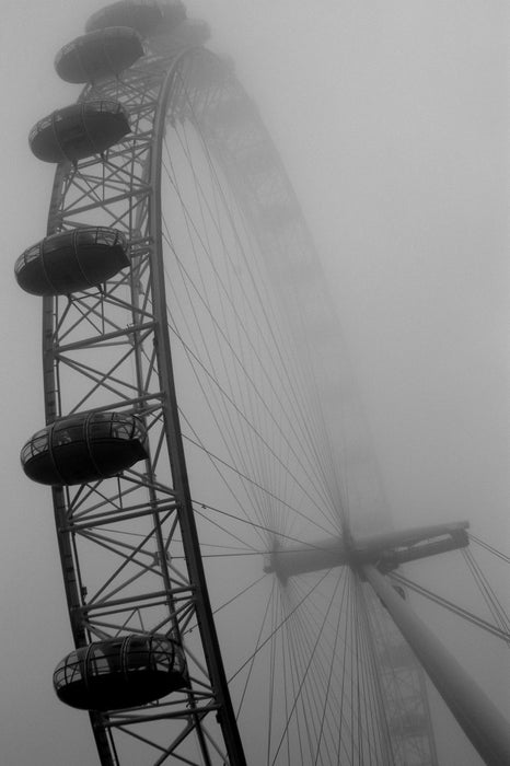 Toasted Fig + Black Tea